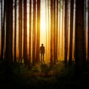Mann in Wald
